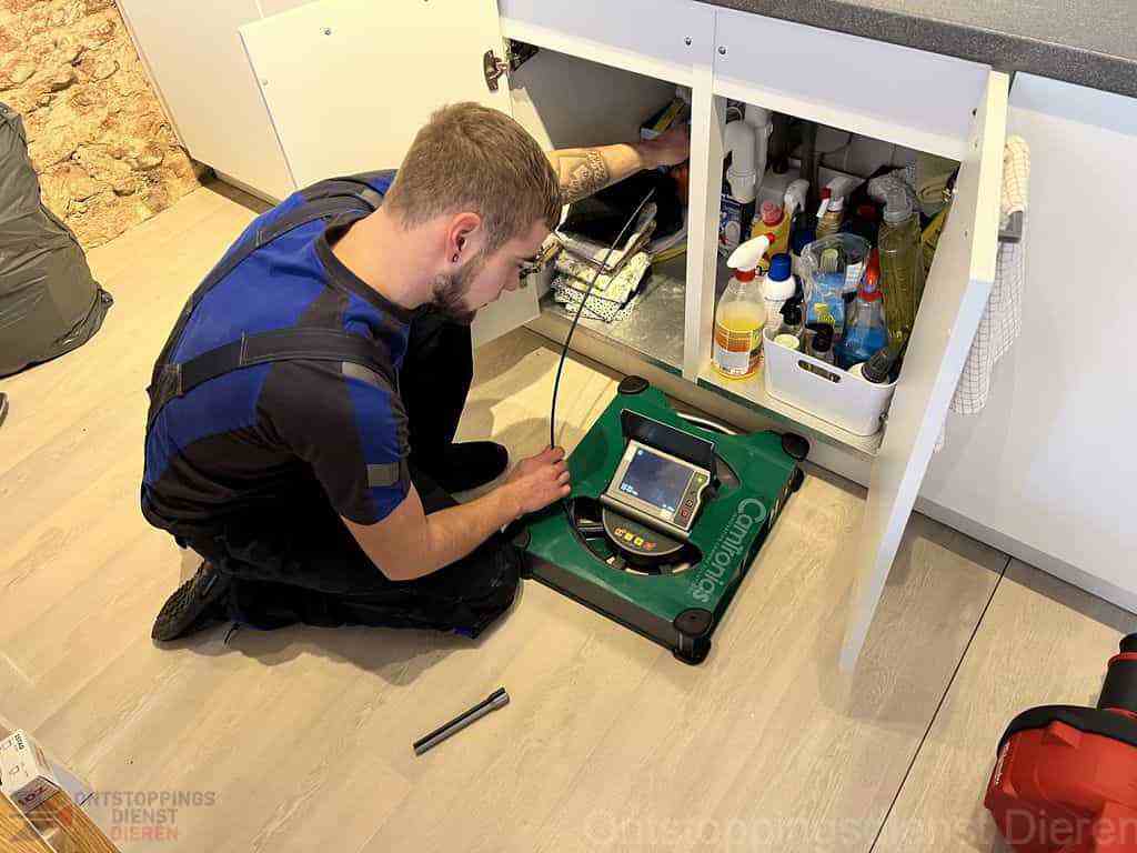 Afvoer Verstopping Dieren Afvoer Verstopping Dieren