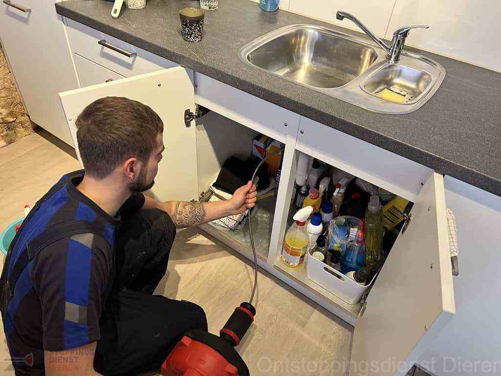 Dieren Gootsteen Verstopping Dieren Gootsteen Verstopping