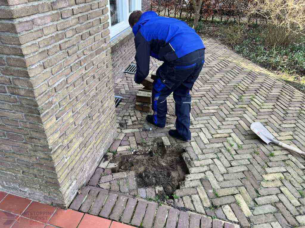 Ontstoppen Riool Dieren Ontstoppen Riool Dieren