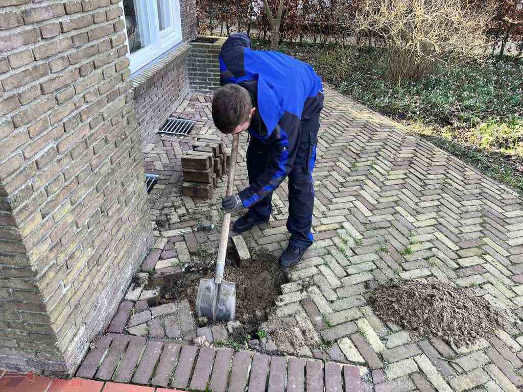 Riool Ontstoppen Dieren Riool Ontstoppen Dieren