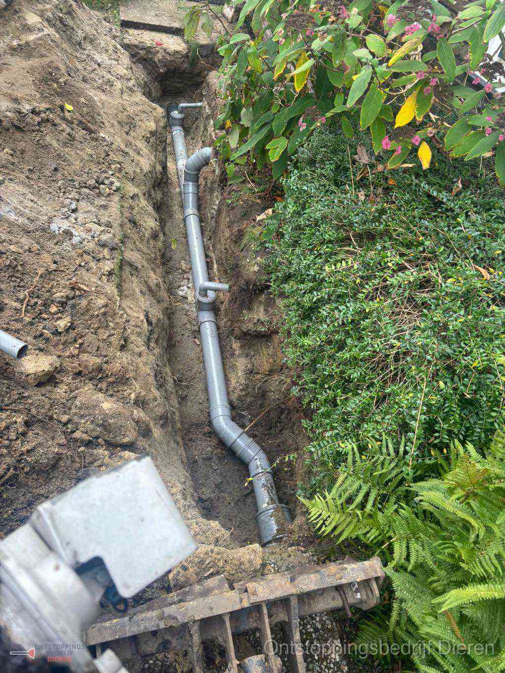 Rioolverzakking Dieren Rioolverzakking Dieren